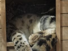 -青藏高原野生动物园