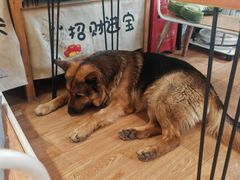 -小时光咖啡馆(开森度假森林店)