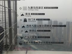 -339旋转餐厅(天府熊猫塔店)