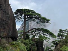 -黄山风景区