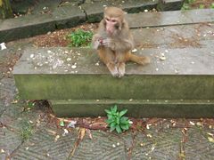 -重庆雨台山风景区