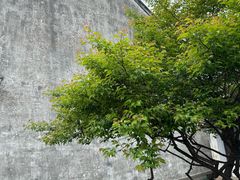-王阳明故居