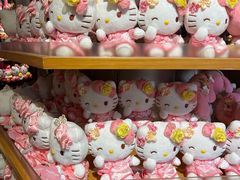 -安吉Hello Kitty乐园