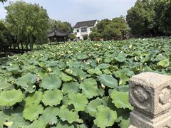 -丝绸小镇荻港古村