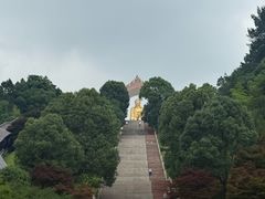 -庐山风景名胜区-东林大佛