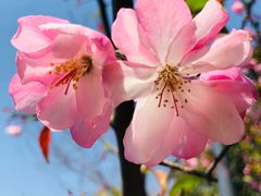 -紫阳家宴(源深店)