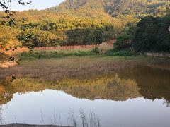-田心森林公园
