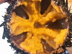 鲜海胆-海胆小馆(东北水饺·春柳店)