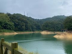 -广州市流溪河国家森林公园