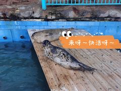 -大连圣亚海洋世界