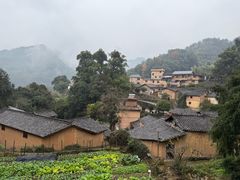 -杨家堂村