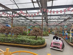 -南宫五洲植物乐园