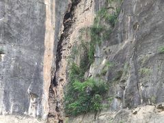 -神农溪纤夫文化旅游区