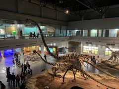 -自贡恐龙博物馆