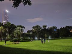 -荔香公园