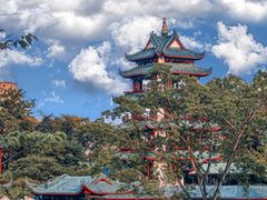 -桂湖森林公园