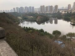 -重庆彩云湖湿地公园