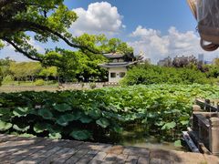 -江心屿景区