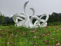 -东郊湿地公园