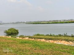 -北海金海湾红树林生态旅游区