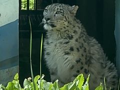 -青藏高原野生动物园