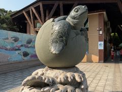 -广东惠东海龟国家级自然保护区
