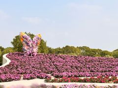 -上海鲜花港