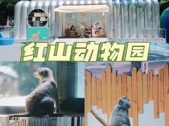 -红山森林动物园
