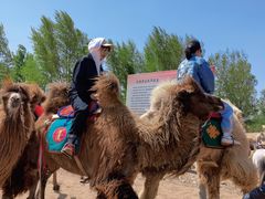 -库伦旗银沙湾旅游景区