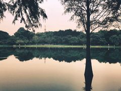 -东莞植物园