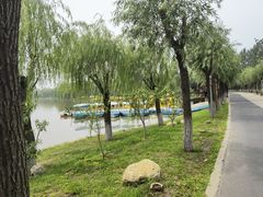 -杨柳青庄园