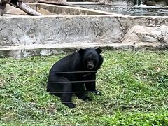 -清迈夜间动物园