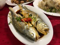 -蛇口康乐快餐鱼仔档(翠苑小区店)