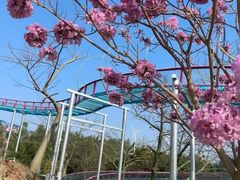 -盈香心动乐园
