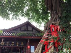 -黄龙溪古镇