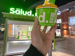 -Salud撒露欧洲冻酸奶(蓝色港湾店)