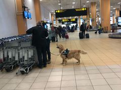 -戴高乐机场免税店(BuY PARIS DUTY FREE)