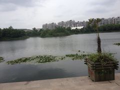 -新江湾城公园