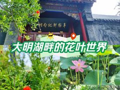 -济南大明湖景区