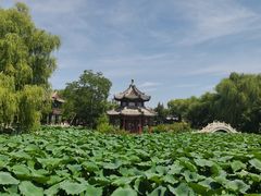-莲池书院博物馆