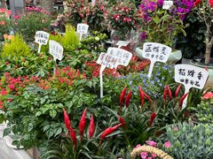 -三圣花乡旅游区