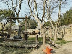 -上海野生动物园