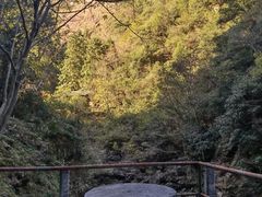 -浙西大峡谷