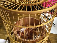 -胡桃里音乐酒馆(曲江店)