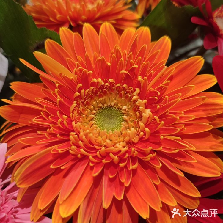 每个月的最后1小时
