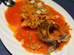 -张生记(双菱店)