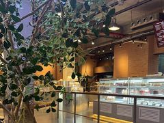 -喜马拉雅森(运河汇1958店)