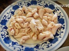 肚仁-东兴顺爆肚张