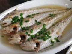 -小六农家乐(崇明西沙湿地店)