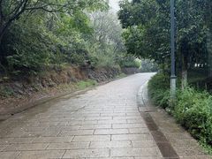 -巢湖姥山岛